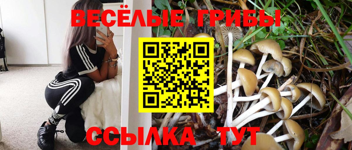 Псилоцибиновые грибы Magic Shrooms  Псилоцибиновые грибы мухоморы  Вход с VPN  наркотики  Глазов 